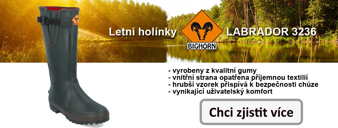 p_holinky_n_1_cz